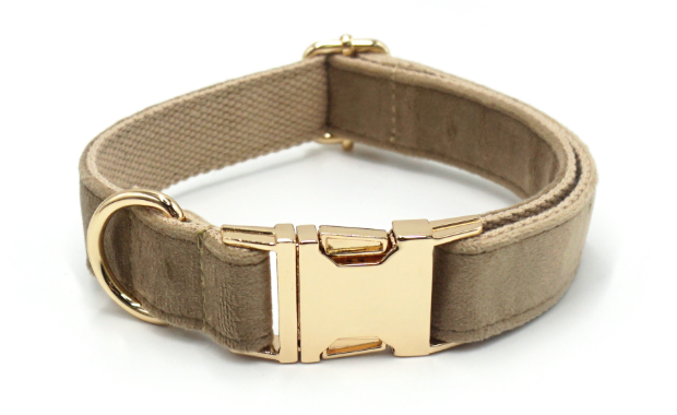 Custom Engraved Velvet Dog Collar
