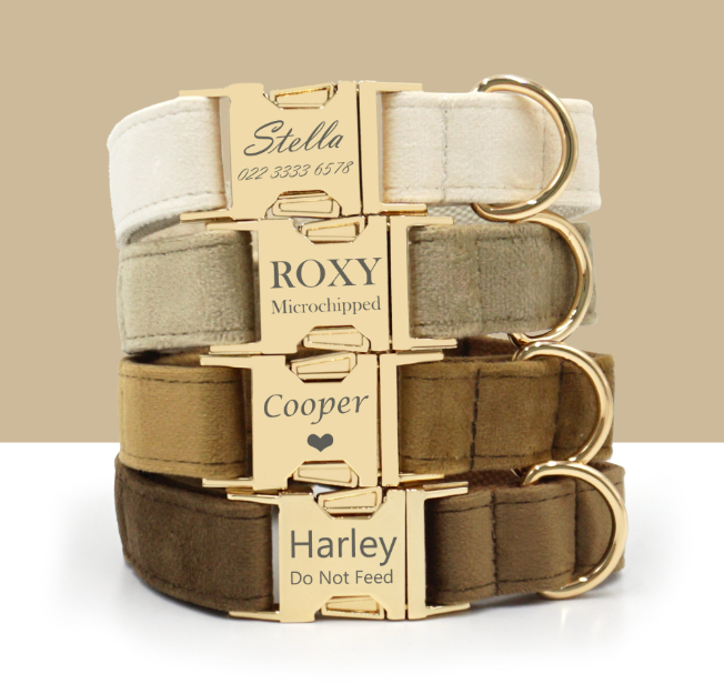 Custom Engraved Velvet Dog Collar
