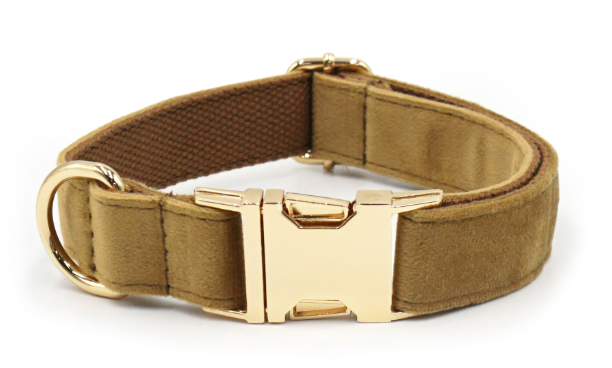 Custom Engraved Velvet Dog Collar
